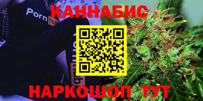 МДПВ Пенза