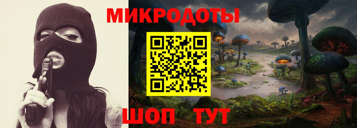 Печора  Галлюциногенные грибы прущие грибы  Вход с VPN 
